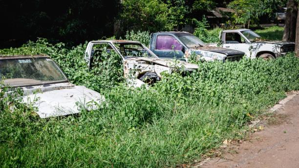 istock An old, deteriorated, decayed and rusted car parked in the woods. 1489661089