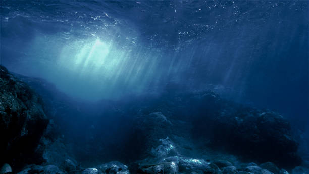 Underwater landscape and scenery