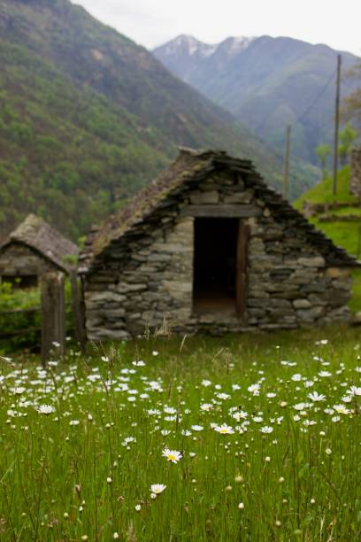 istock Ticinese village Corippo 1489661692