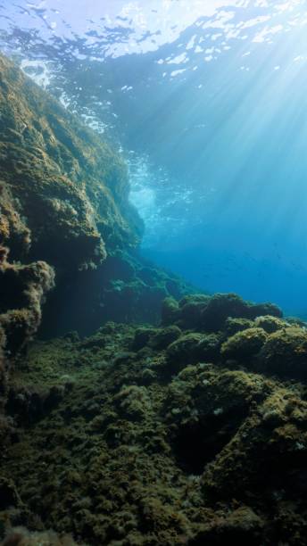 istock Underwater photo of rays of light over a reef 1489662012