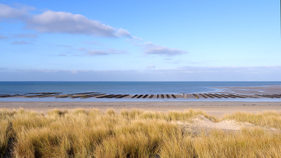 Sand dunes  of Bricqueville-sur-Mer village in the Cotentin coast