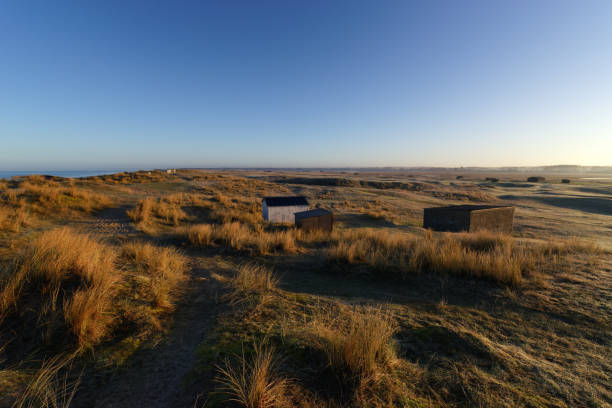 istock Salt meadows in the Cotentin coast 1489666691