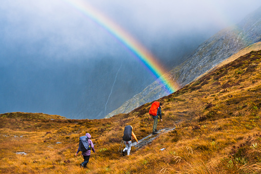 Hikers passing through the valley between Mintaro Hutt and Mackinnon Pass, Milford Track Fiordland National Park, New Zealand