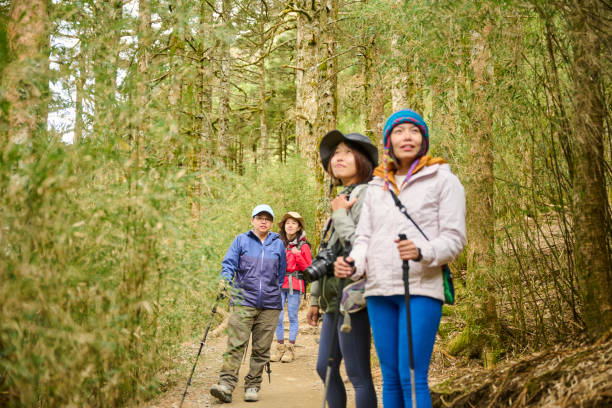 istock Female make a portrait in a forest. 1489668270