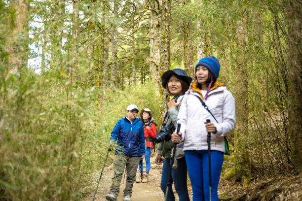 istock Female make a portrait in a forest. 1489668330