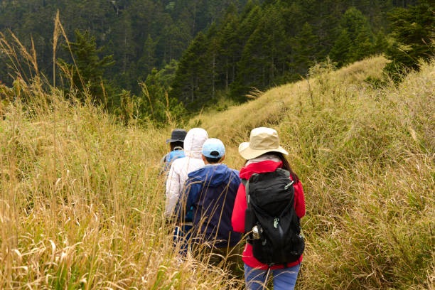 istock Hikers walking alone on top of a mountain. 1489668394
