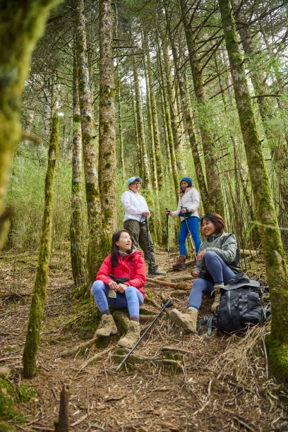 istock Female make a portrait in a forest. 1489671567