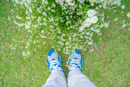 Blue sneakers, bright fashion under white daisies. on the green grass In the flower garden looks beautiful.