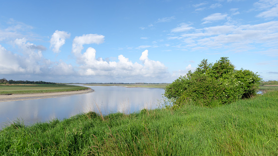 Salt meadows and Sienne river in Cotentin coast. Heugueville-sur-Sienne village
