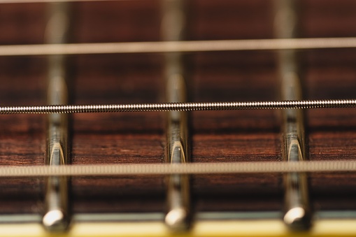 A macro shot of the strings of an electric guitar