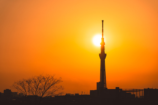 Tokyo Sky Tree in silhouette and Tokyo cityscape in the evening