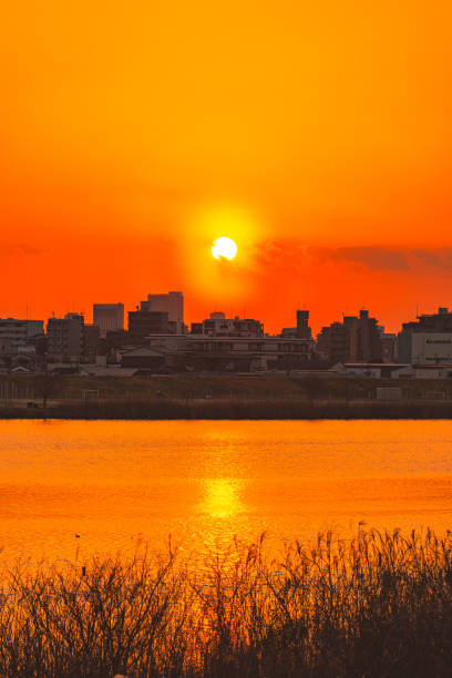 Tokyo cityscape in the evening