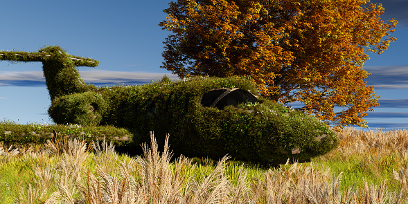 a airplane overgrown by grass on a meadow under a tree - 3D Illustration