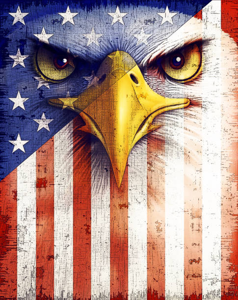 Bald eagle with USA flag - ilustração de arte vetorial