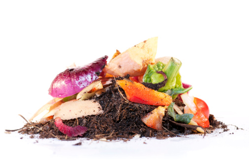 Looking at the complete process of recycling vegetable scraps as worms break it down to produce compost. Isolated on a white background.