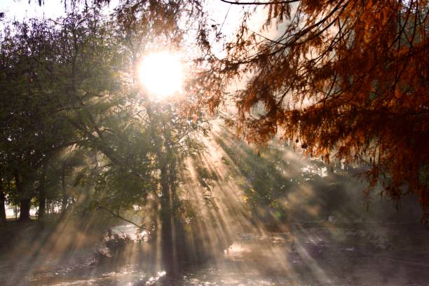 istock Sunbeams through fog at river 1489700604