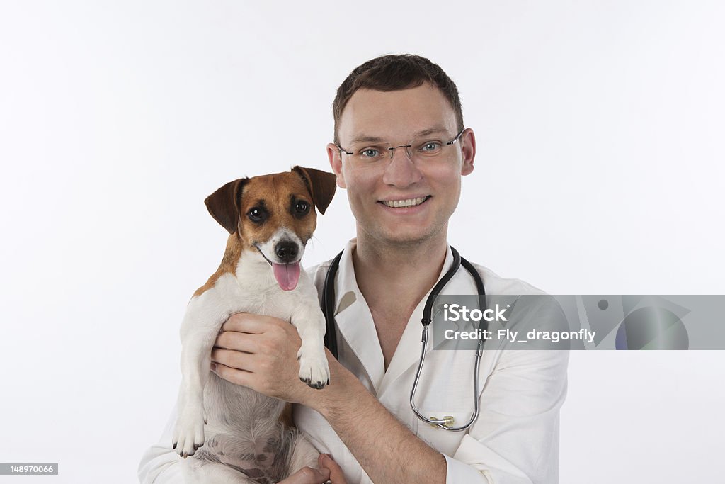 獣医に犬 - ジャックラッセルテリアのロイヤリティフリーストックフォト