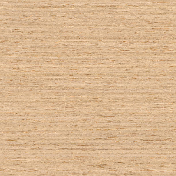 Seamless White Ash wood textured background stock photo