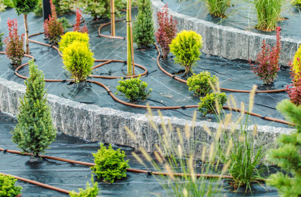 istock Newly Built Backyard Garden Drip Irrigation System 1489712168