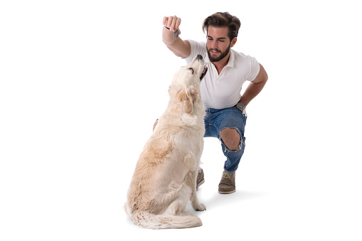 Handsome young man with labrador white dog, on white background in studio