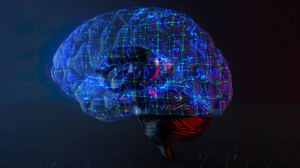 istock Artificial Neural Brain, The Emergence of Conceptual AI Language Models 1489714068