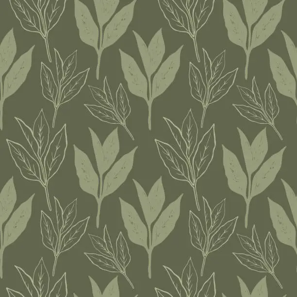 Vector illustration of Green tea. Seamless pattern with tea plant. Repeating background with green plant. For packaging, textile, print, template, card. Decorative ornament. Hand drawn design element. Vector illustration