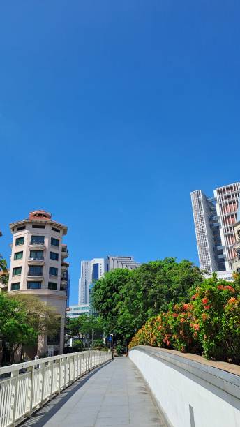 istock Clarke Quay in Singapore on a sunny day 1489726738