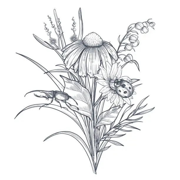 Vector illustration of A bouquet of early spring flowers with ladybug. Botanical style of engraving illustration. Vector. Black and white