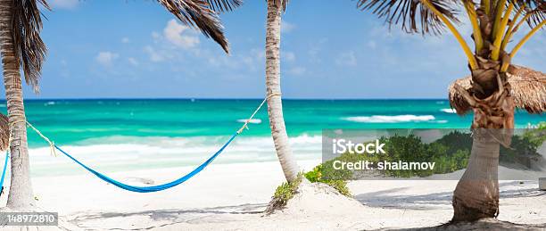 Caribbean Coast Stock Photo - Download Image Now - Beach, Hammock, Tropical Climate