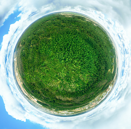 Little Planet View Of Coniferous Trees Green Forest. Aerial Top View Of Amazing Thick Forest European Nature. Little Small Planet Concept.