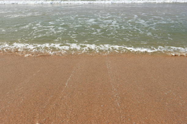Free Stock Photo of Sandy Beach With Waves Rolling In | Download Free ...