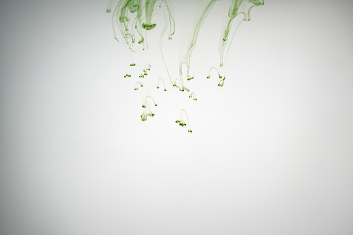 green ink poured in water, copy space for your info