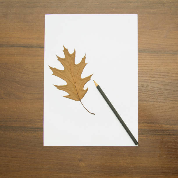 istock A beautiful pencil lies on a magical background 1489743368