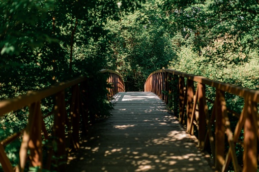 A scenic footbridge in a tranquil forest setting, leading to a path through the trees