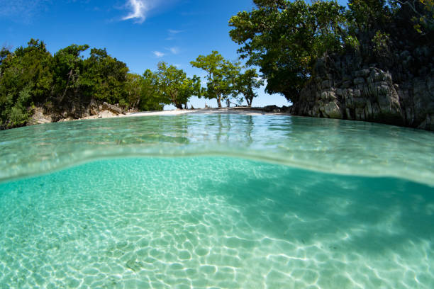 istock Clear Warm Water and Scenic Tropical Beach 1489748584