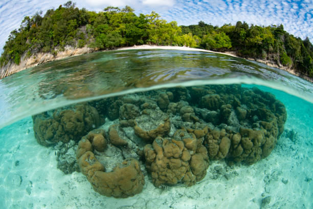 istock Coral and Beautiful Tropical Coastline 1489748604