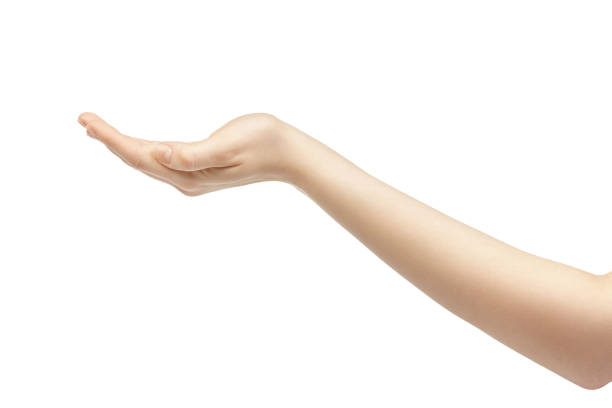 istock empty young female hand holding release isolated on white background 1489748824