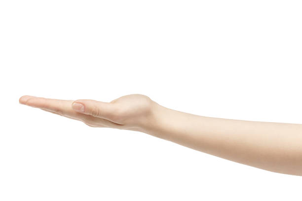 istock empty young female hand holding release isolated on white background 1489748965