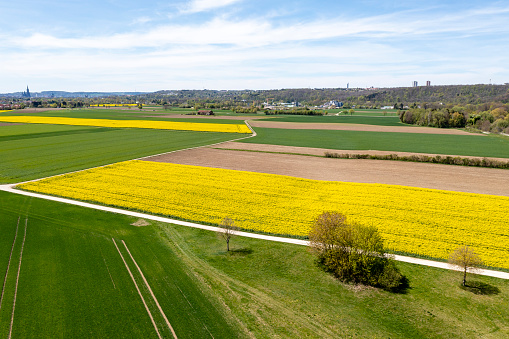 Aerial view of a spring agricultural landscape with yellow and green fields.