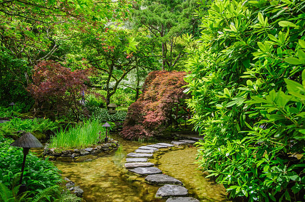 istock Japanese garden with stepping stones 148975320