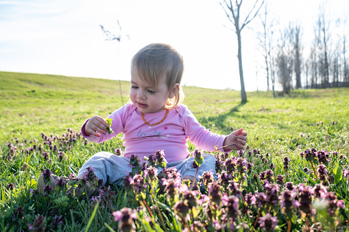 a small cute baby is sitting in a beautiful meadow