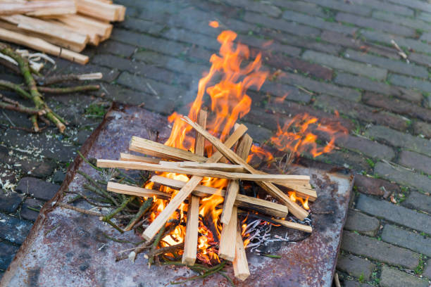 Free Stock Photo of A pile of sticks on fire | Download Free Images and ...