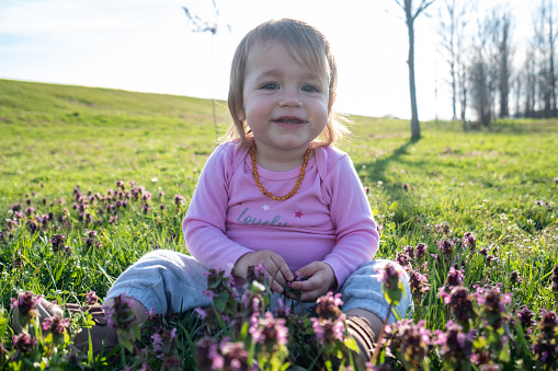 portrait of a happy baby in a meadow