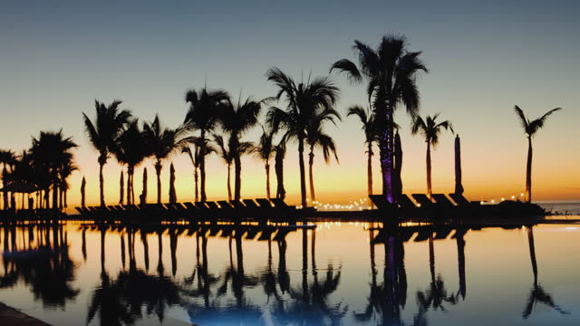 Palm trees and beach chairs reflected in the pool water at sunrise or sunset