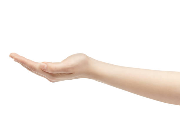 istock empty young female hand holding release isolated on white background 1489756412