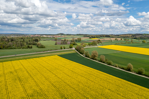 Aerial view of a spring agricultural landscape with yellow and green fields and a small town.