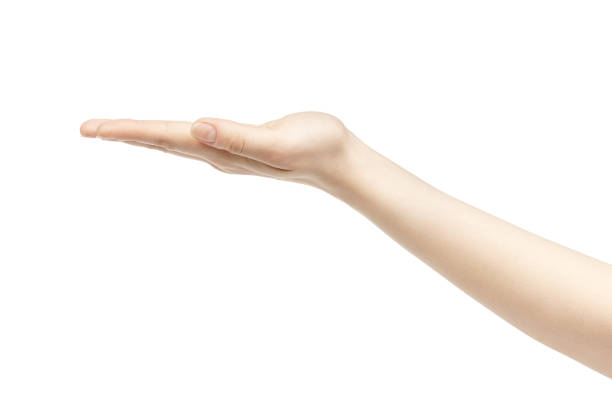 istock empty young female hand holding release isolated on white background 1489756677