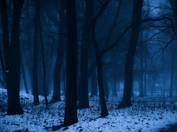 istock Evening mysterious forest with snow in the fog. 1489756824