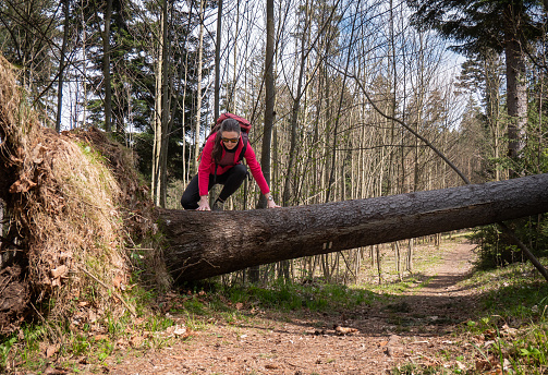 Woman backpacker jumping over a fallen log seen from the front. She is wearing red fleece, red backpack and sunglasses. Slovakia