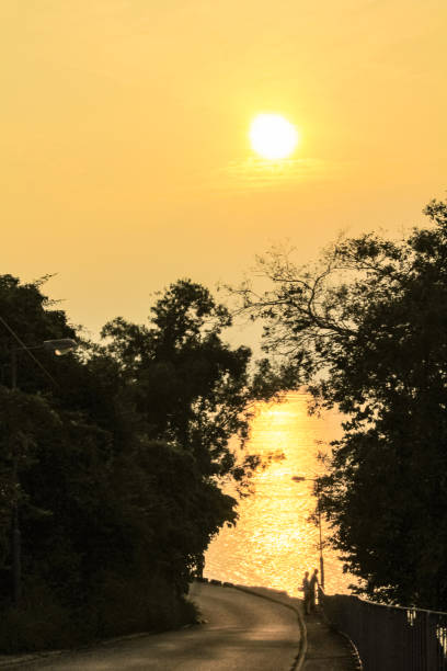 istock Sunset scene with trees in warmth tone. 1489758313